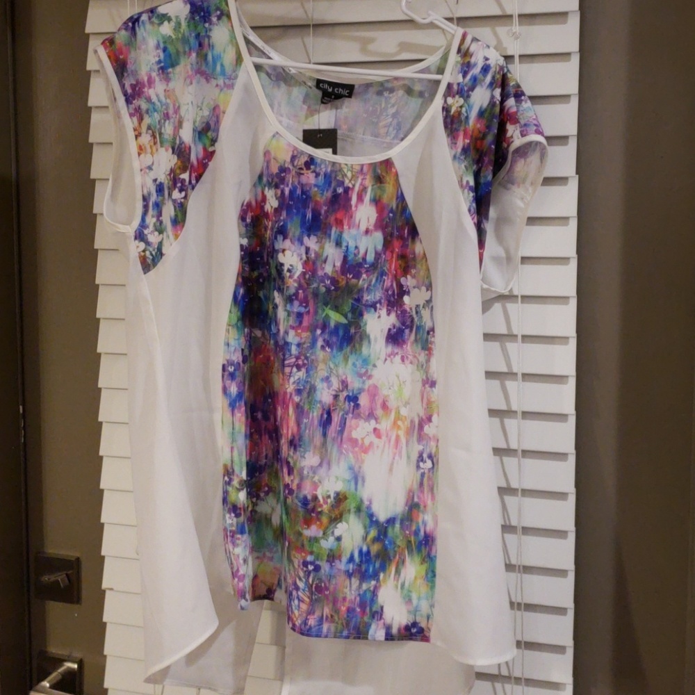 City chic Top size 16 (which is a small)